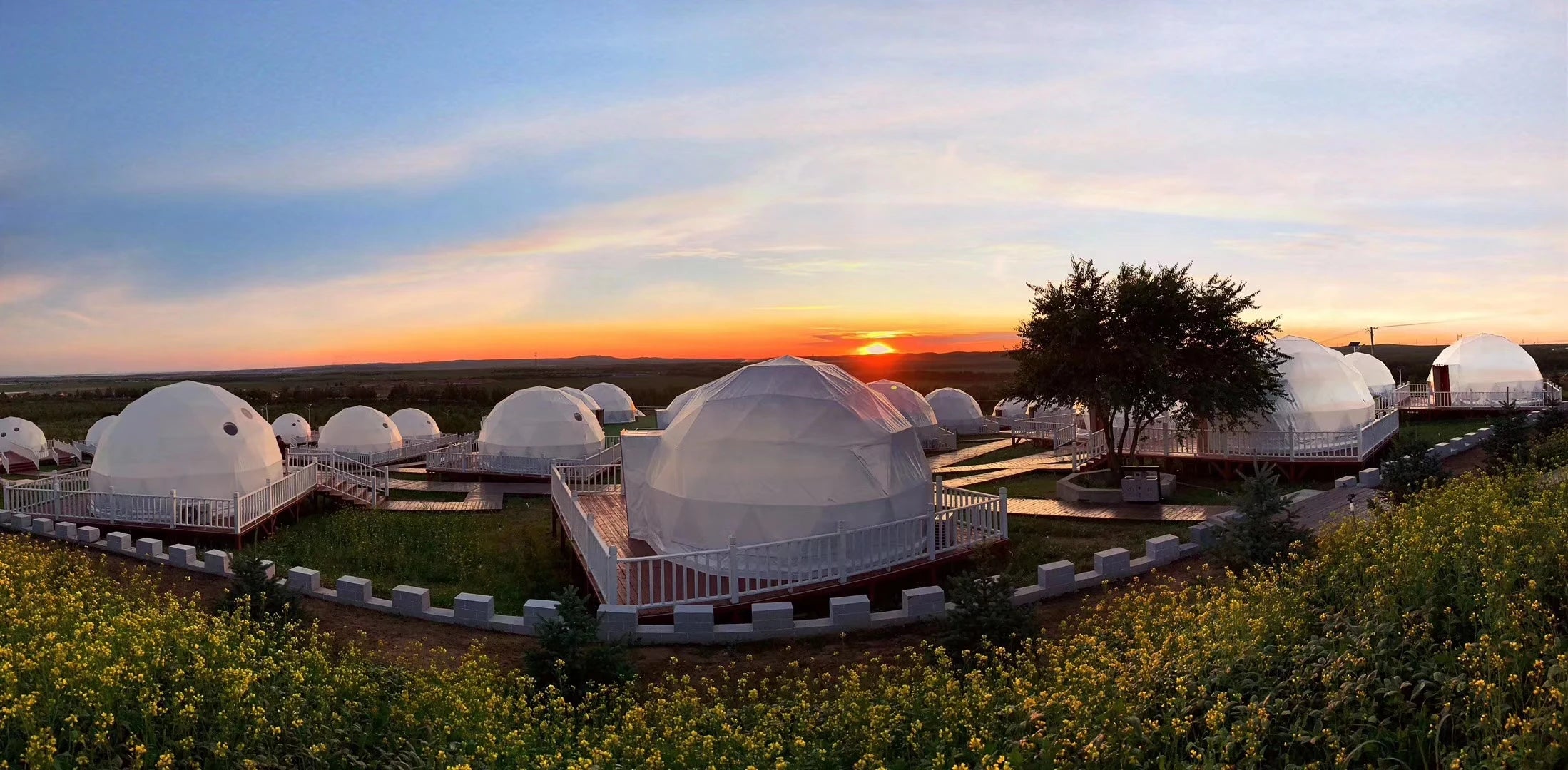 Luxury Dome Outdoor All Season Geodesic Greenhouse Tent Heavy Duty Weatherproof Igloo Tent For Household Garden Plants